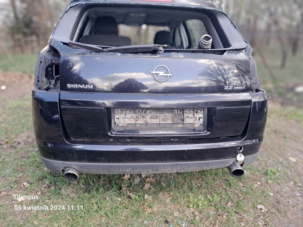 Opel Signum, Vectra C, drzwi,klapa,błotnik,zderzak Z20R, części