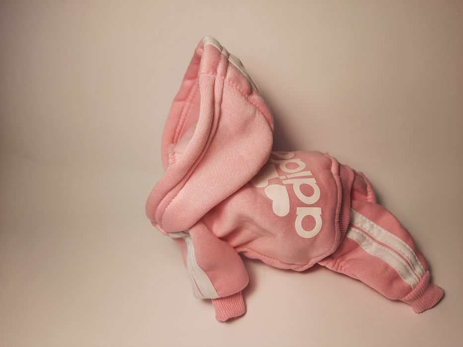 Одяг для маленьких порід собак