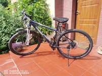 rower górski mtb teamraider t29