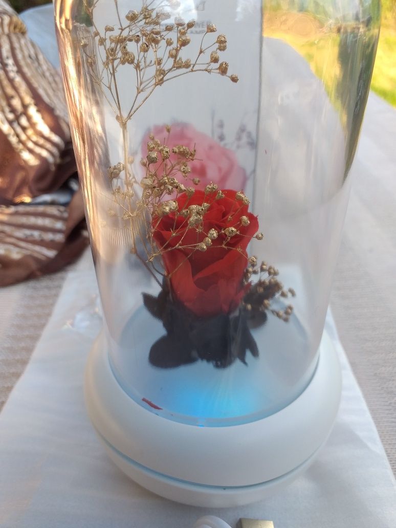 Wieczna róża, lampka nocna i aromaterapia