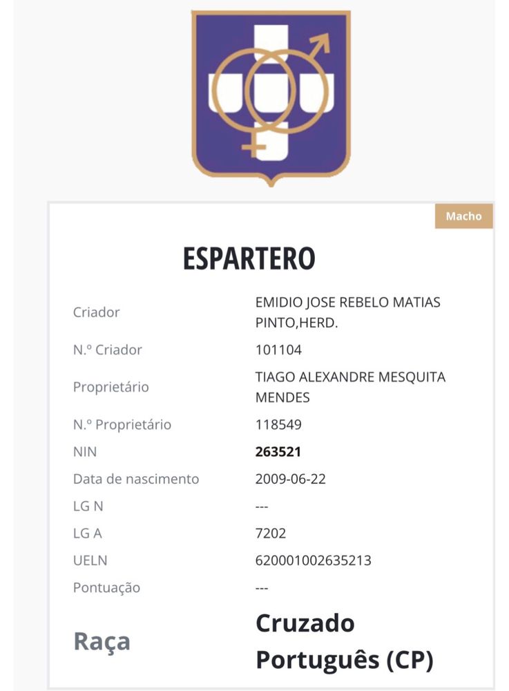 Poldro letra U para venda