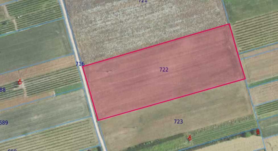 Działka rolna 1,9 ha - Urzędów / Bęczyn