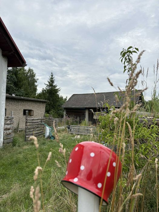 Dom na Jurze z dużą działką