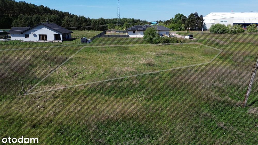 Działka budowlana - Dąbrowa Chełmińska