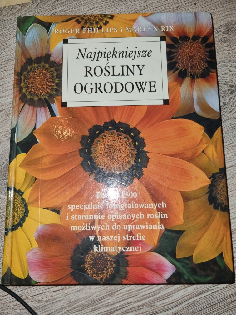 Najpiękniejsze rośliny ogrodowe