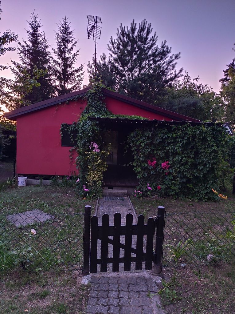 Domki nad jeziorem