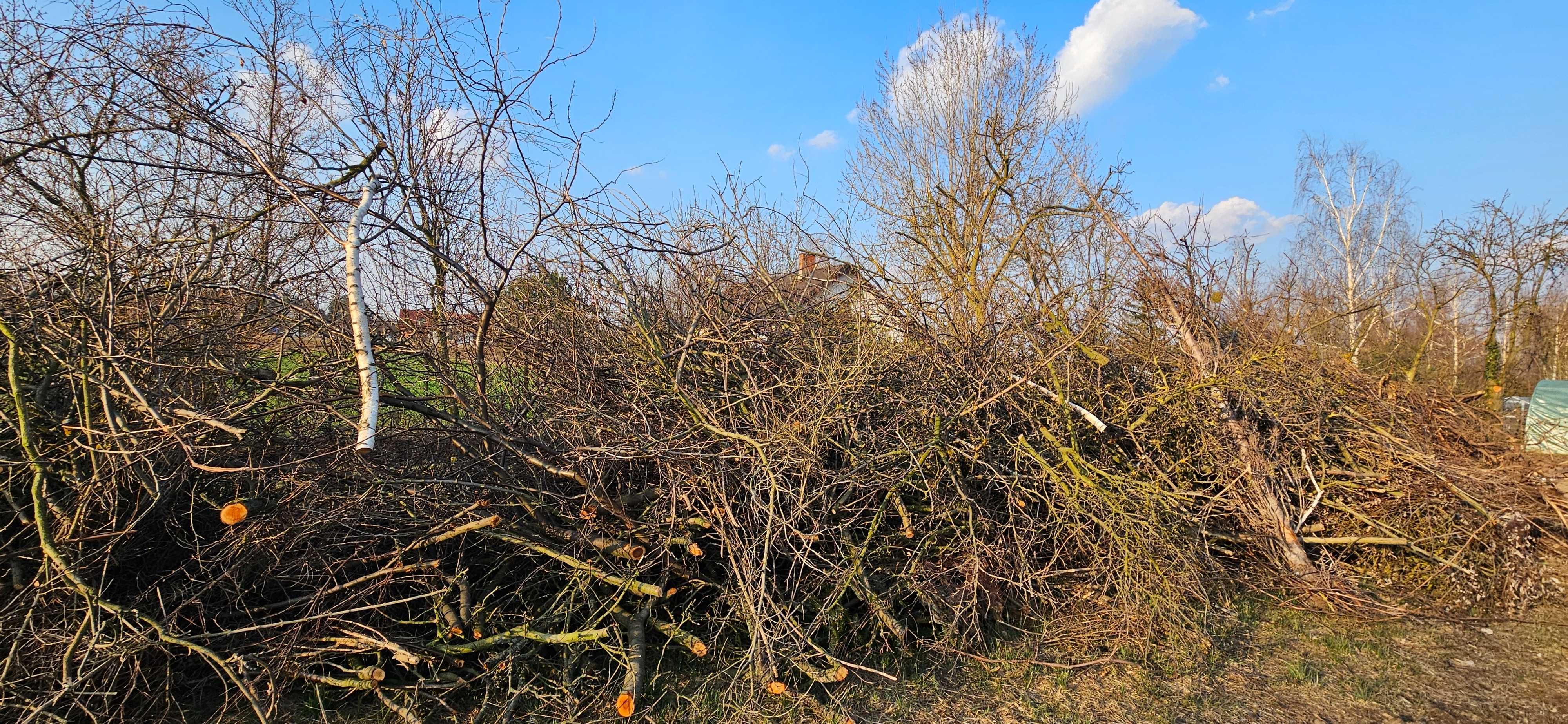 Oddam Gałęzie i krzewy