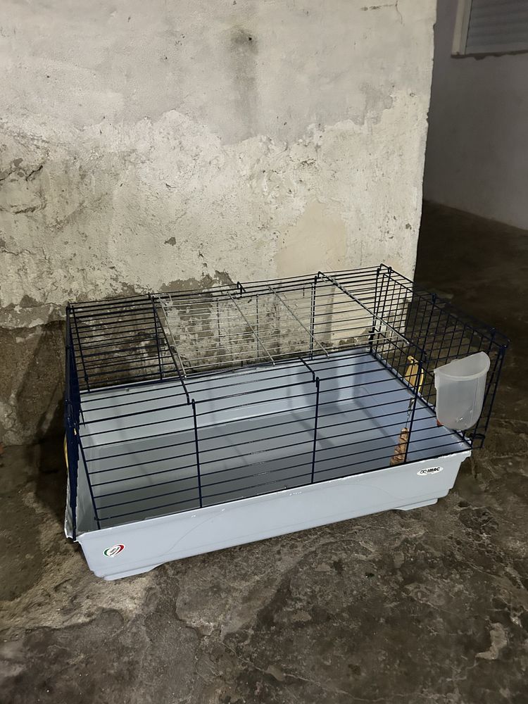 Casota animal grande