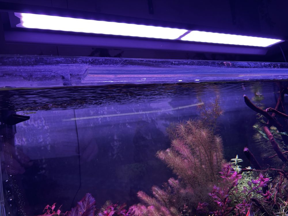 MicMol Master 900 - lampa led z BT do akwarium 90-100 cm