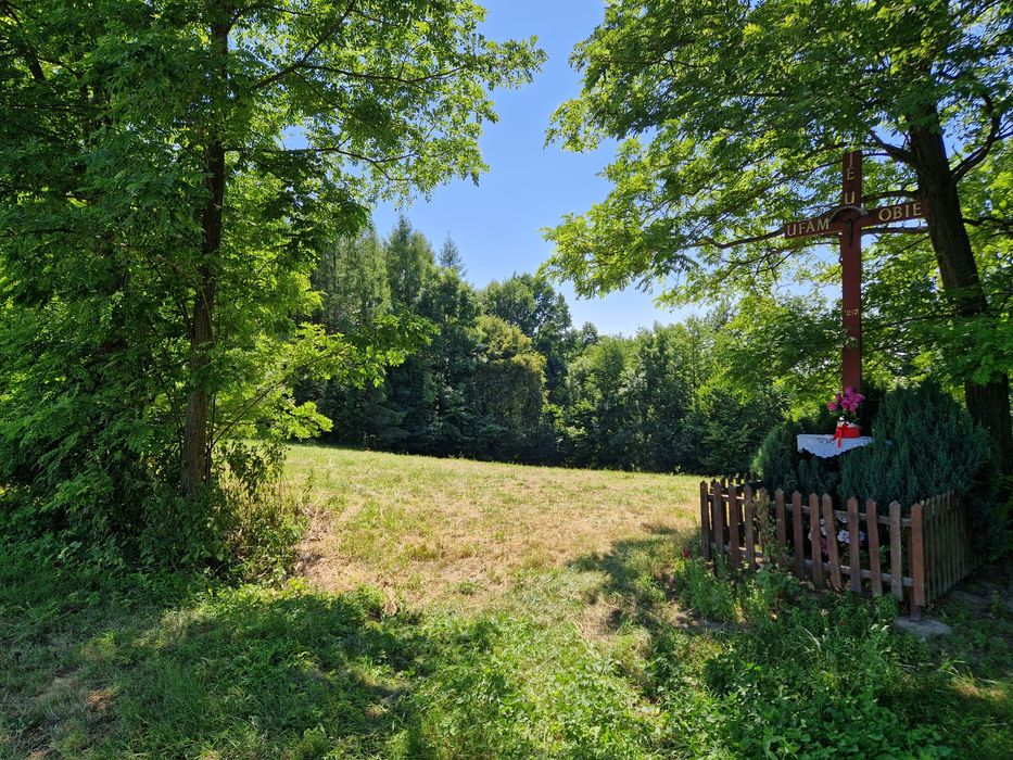 Działka inwestycyjna z wydanymi warunkami zabudowy