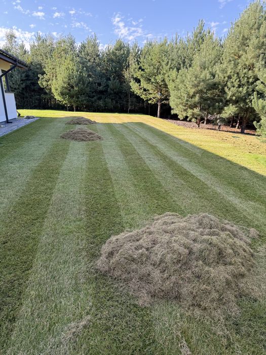 Pielęgnacja ogrodu/zakładanie