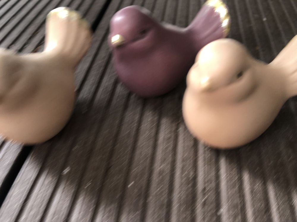 Ptaszki do ogrodu na stol nanu nana