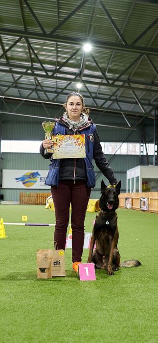 Дресирування собак, кінолог