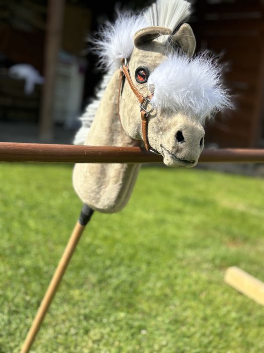 Hobby horse realistic