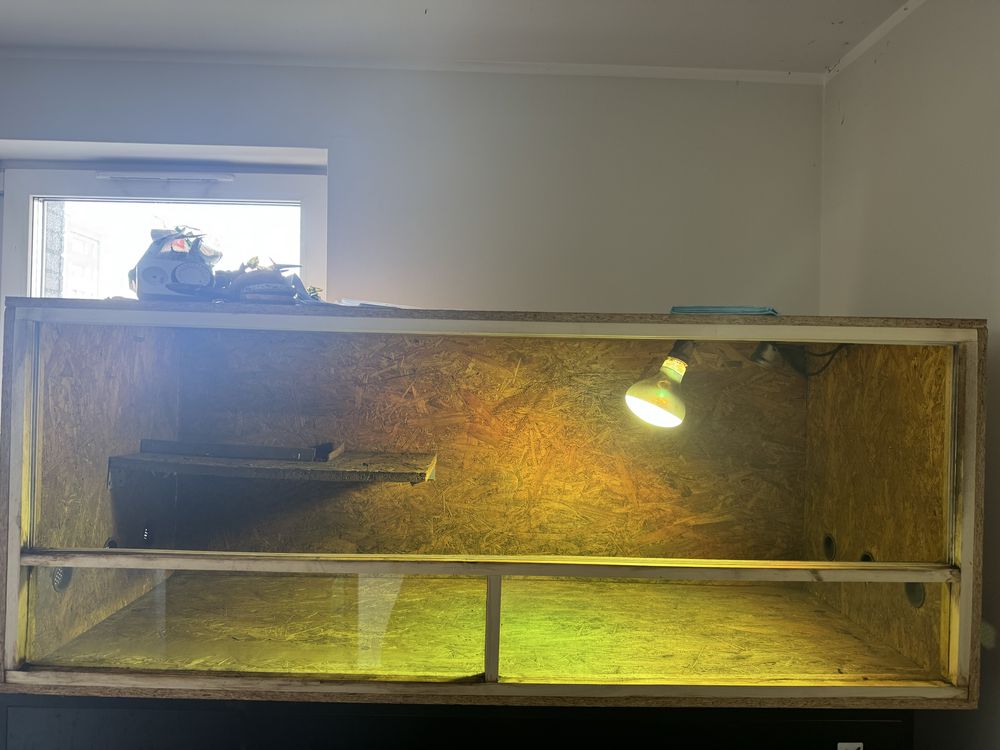 Terrarium 150x60x60
