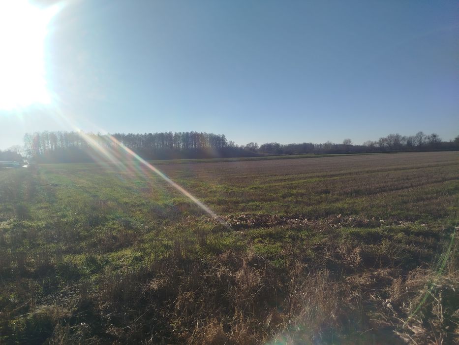 Sprzedam grunt w miejscowości Bogdaszowice