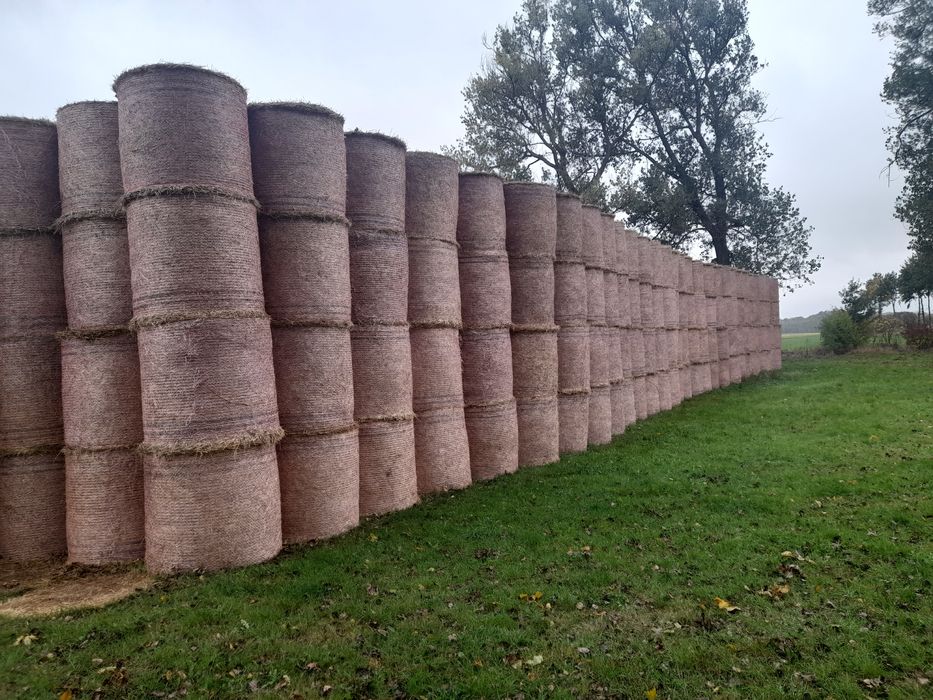 Sprzedam bele słomy