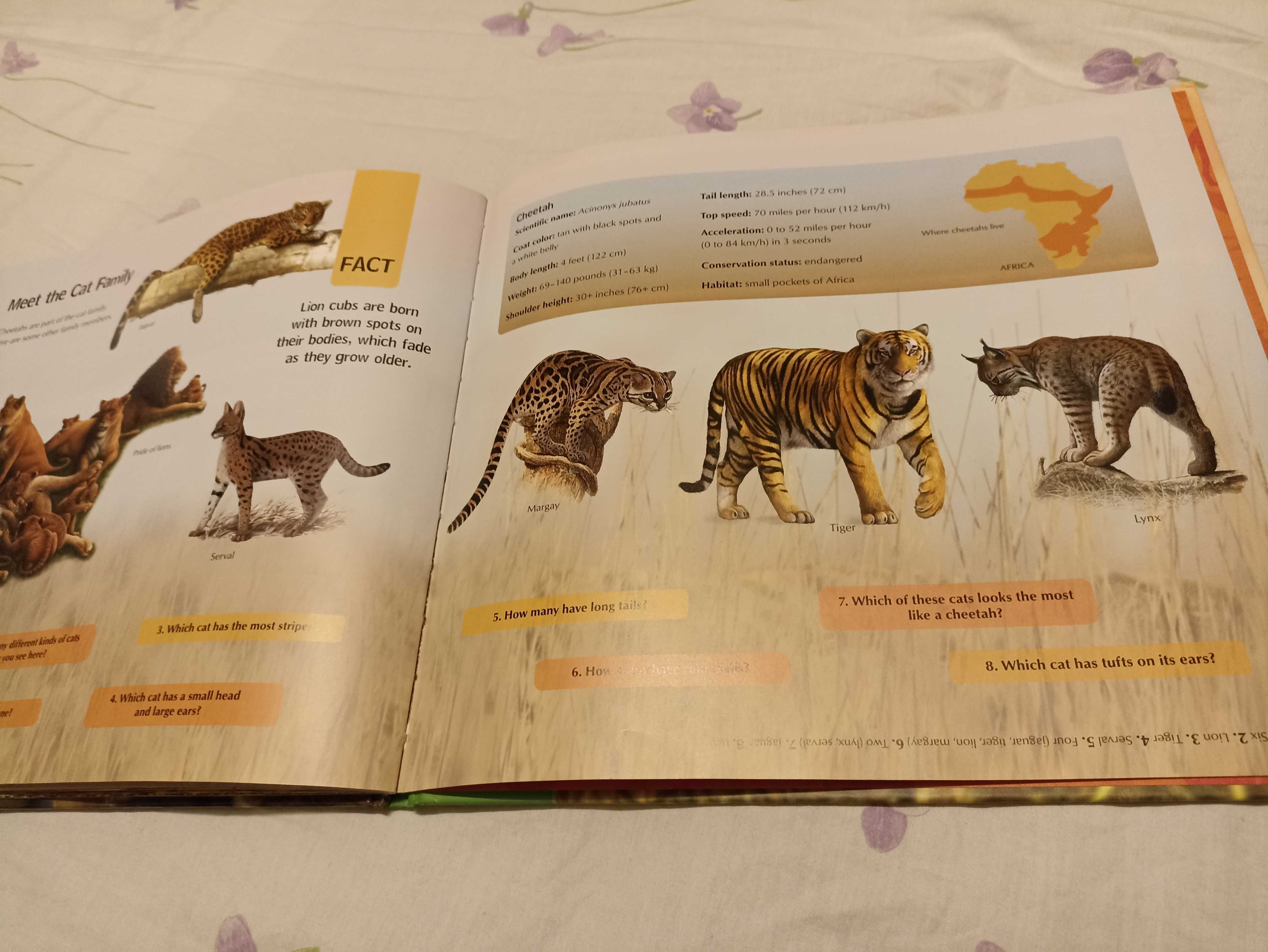 Книжка english cheetah wild life про диких тварин