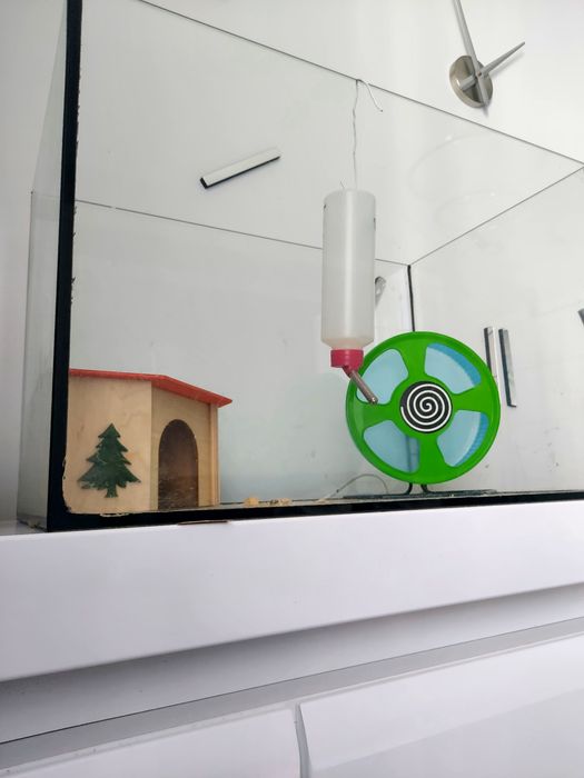 Akwarium 60L dla rybek, gryzonia