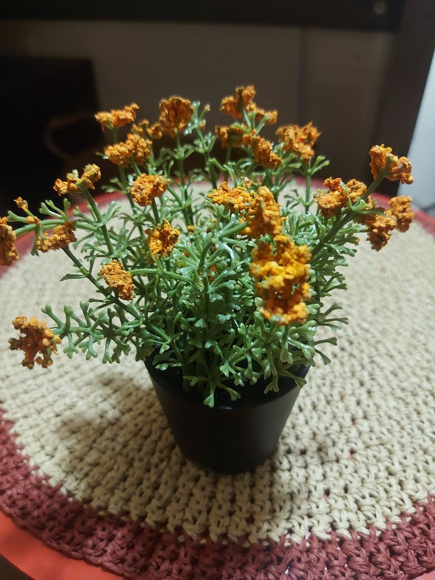 Растение, цветок пластик из Jysk 16 cм