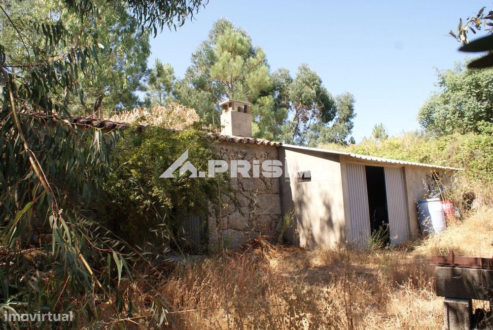 Terreno Rústico para Venda no Ninho do Açor