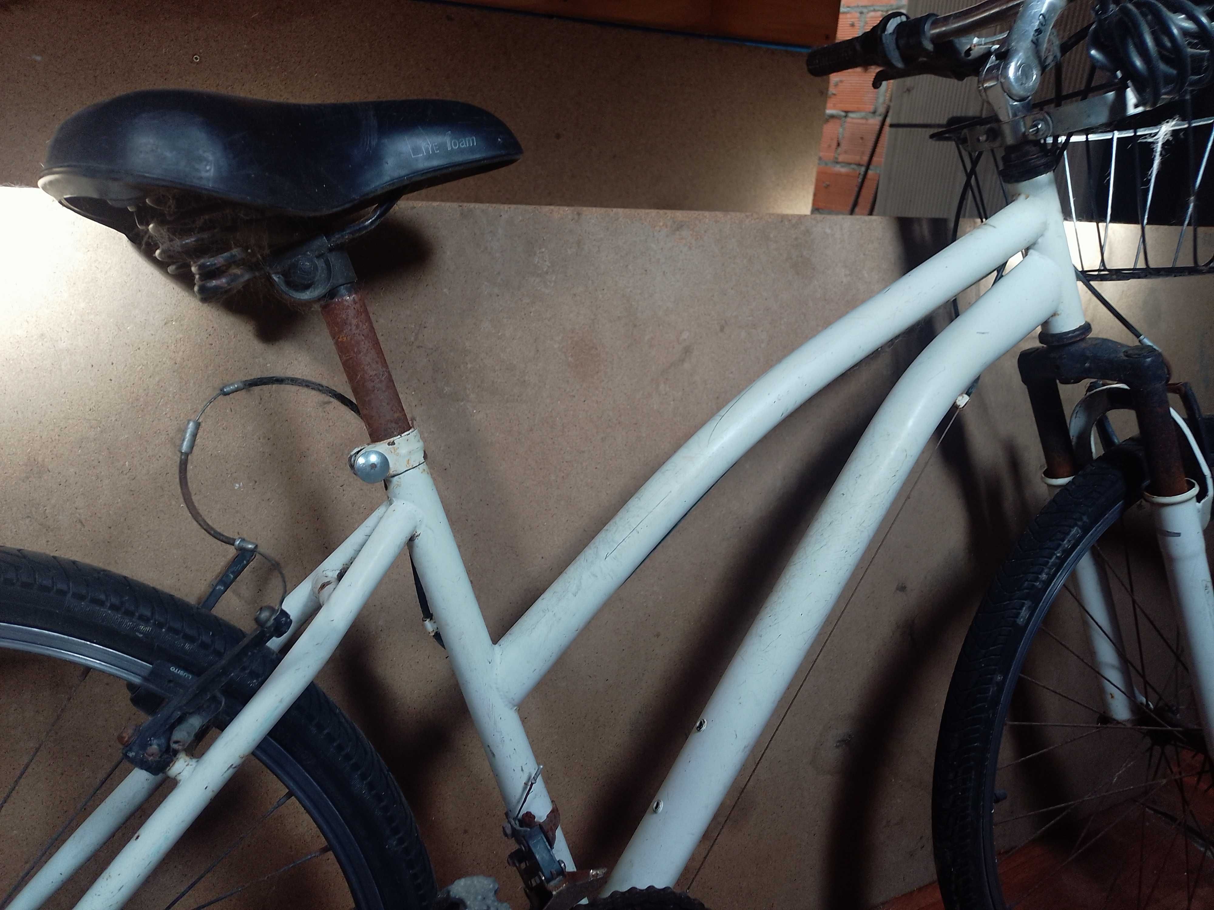 Bicicleta com quadro em ferro