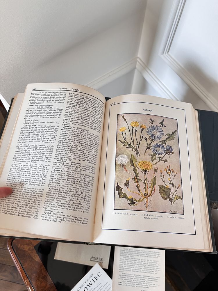 Encyklopedia encykopedja Powszechna Gutenberga 18 tomów 1930 vintage