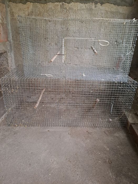 Varias gaiolas para dispensar