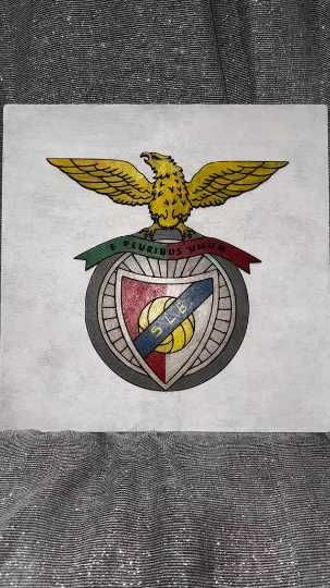 Quadro Benfica Personalizado