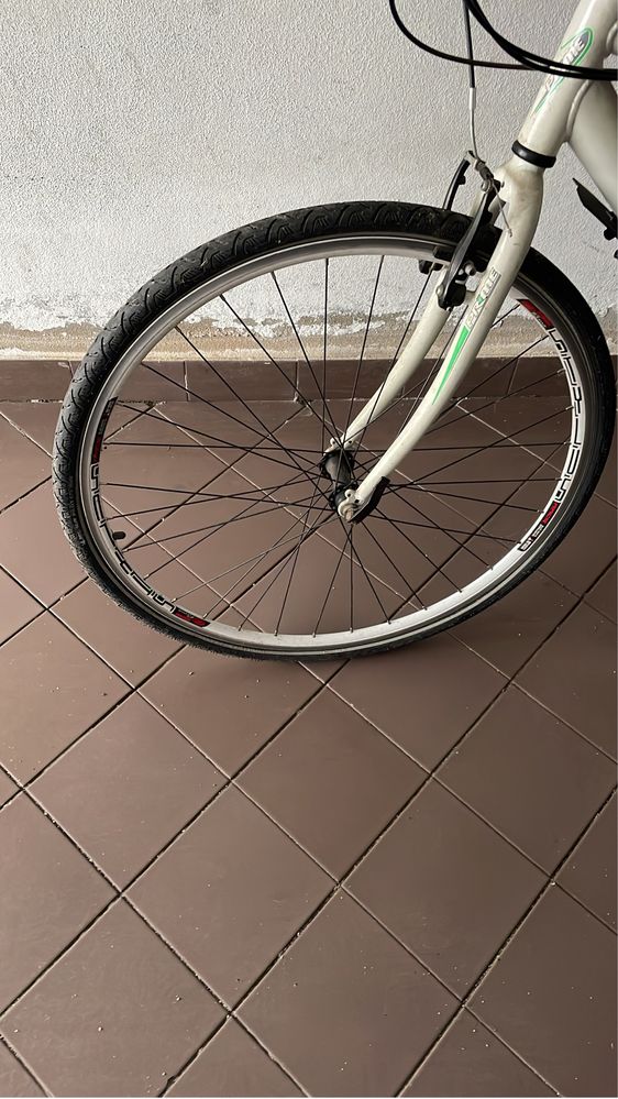 Bicicleta de adulto