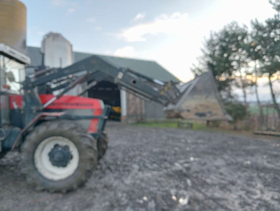 Sprzedam tura ładowacz czołowy