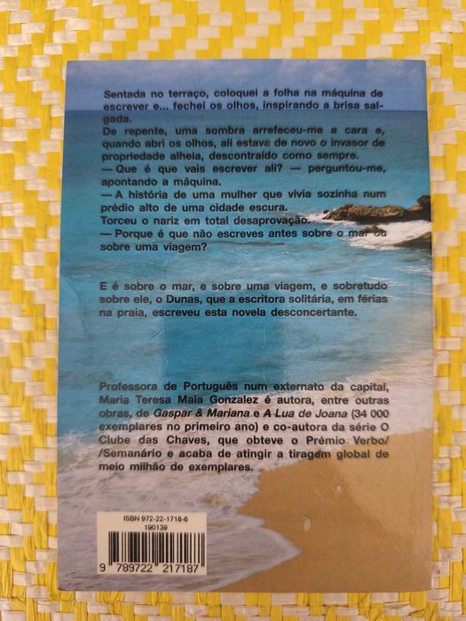 O GUARDA DA PRAIA – 
Maria Teresa Maia Gonzalez