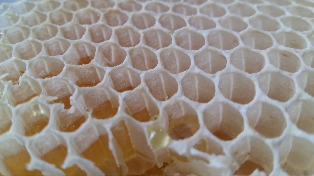 Miod pszczeli z rodzinnej pasieki faceliowy