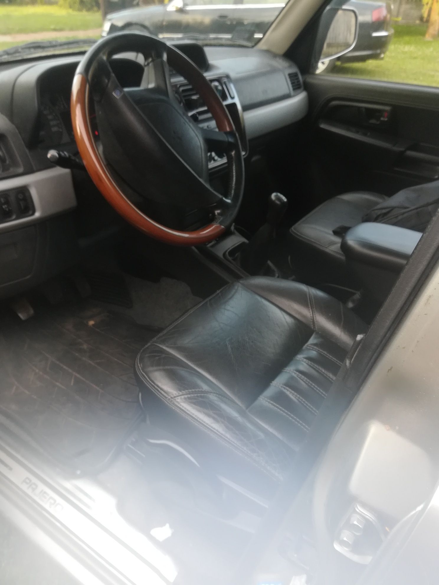 Mitsubishi Pajero pini