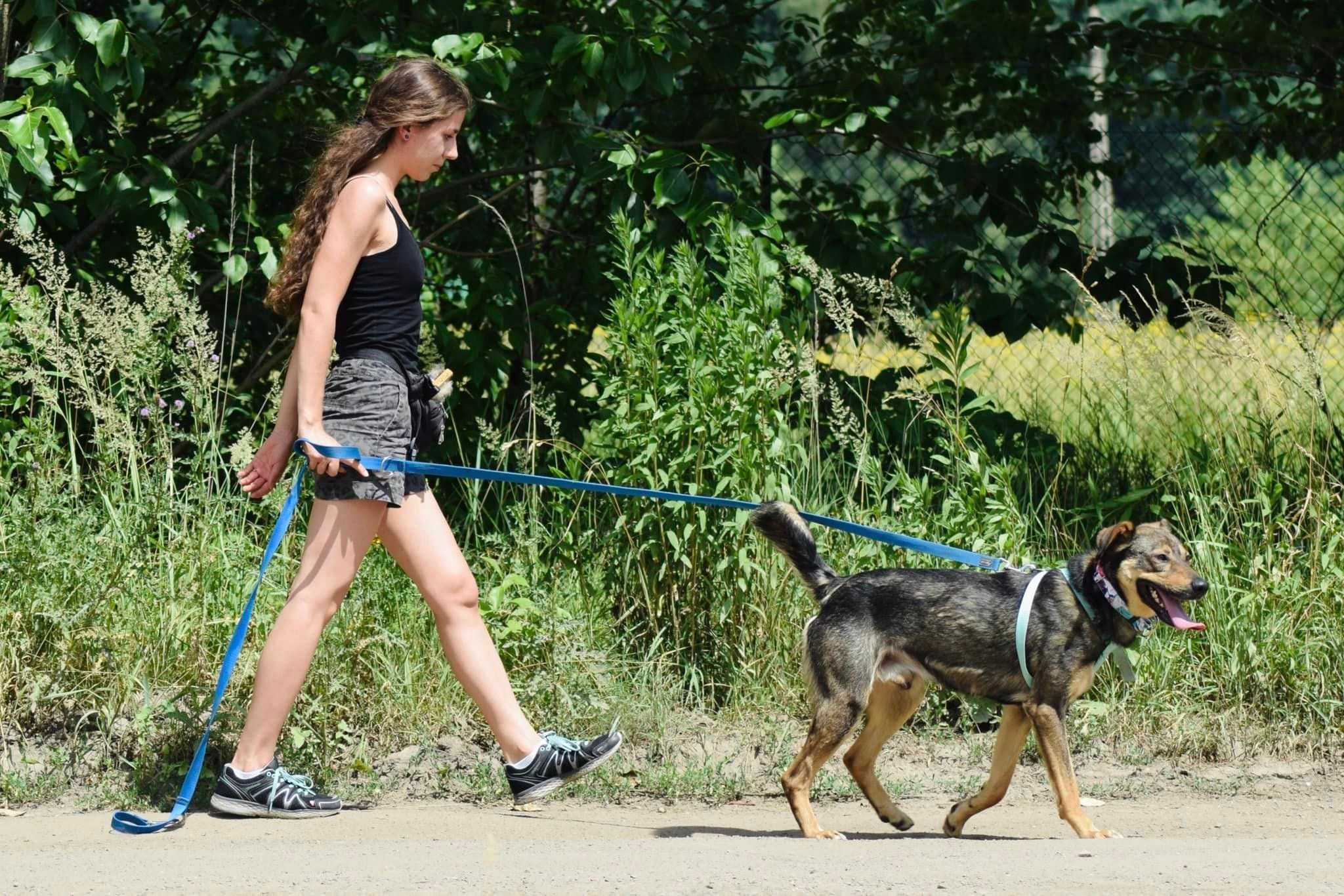 Nanouk - dziarski młodzieniaszek, mruga do Ciebie  - do adopcji.