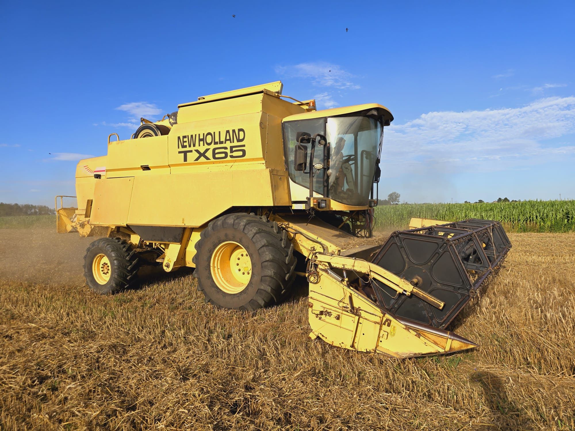 New Holland TX 65 PLUS napęd 4x4 heder 5m sprowadzony (62,64,66,67,68)