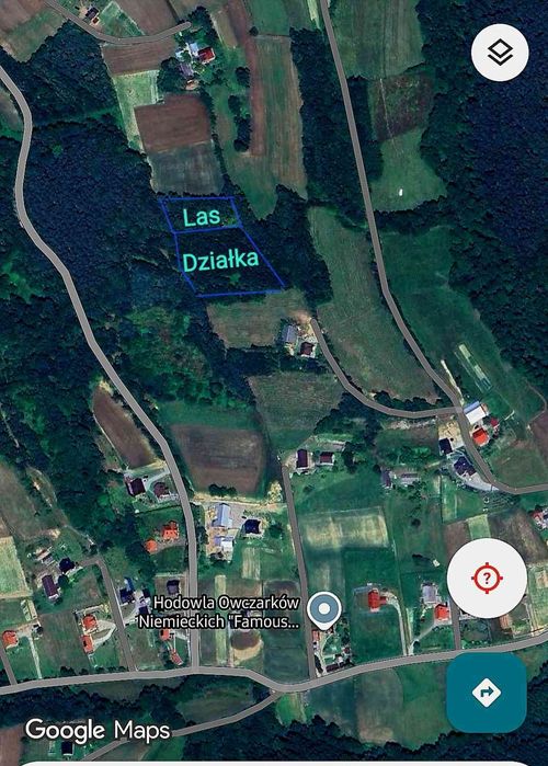 Działka z lasem 0.82ar