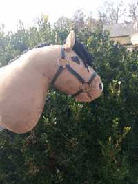 Gniady hobby horse A4