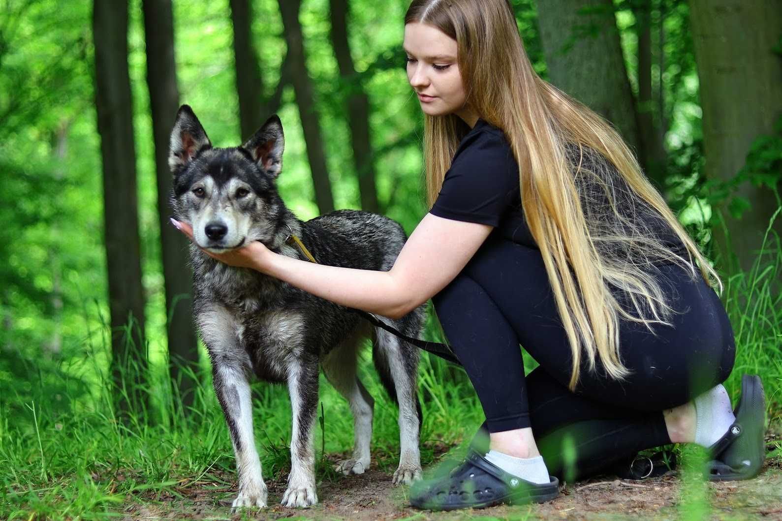 ASTRID - 1,5-roczna, 18kg, łagodna, radosna, kocha psy
