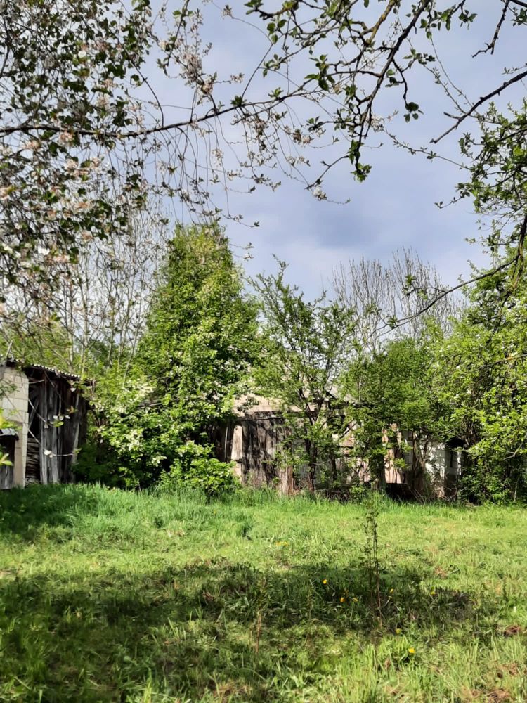 Stary dom na podlaskiej wsi z działką 0,59 hektara