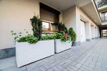 Donica betonowa 100x50x50cm beton architektoniczny kolory
