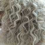 Peruka afroloki blond włosy