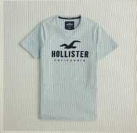 T shirt Hollister M