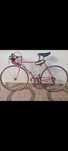 Bicicleta e acessórios