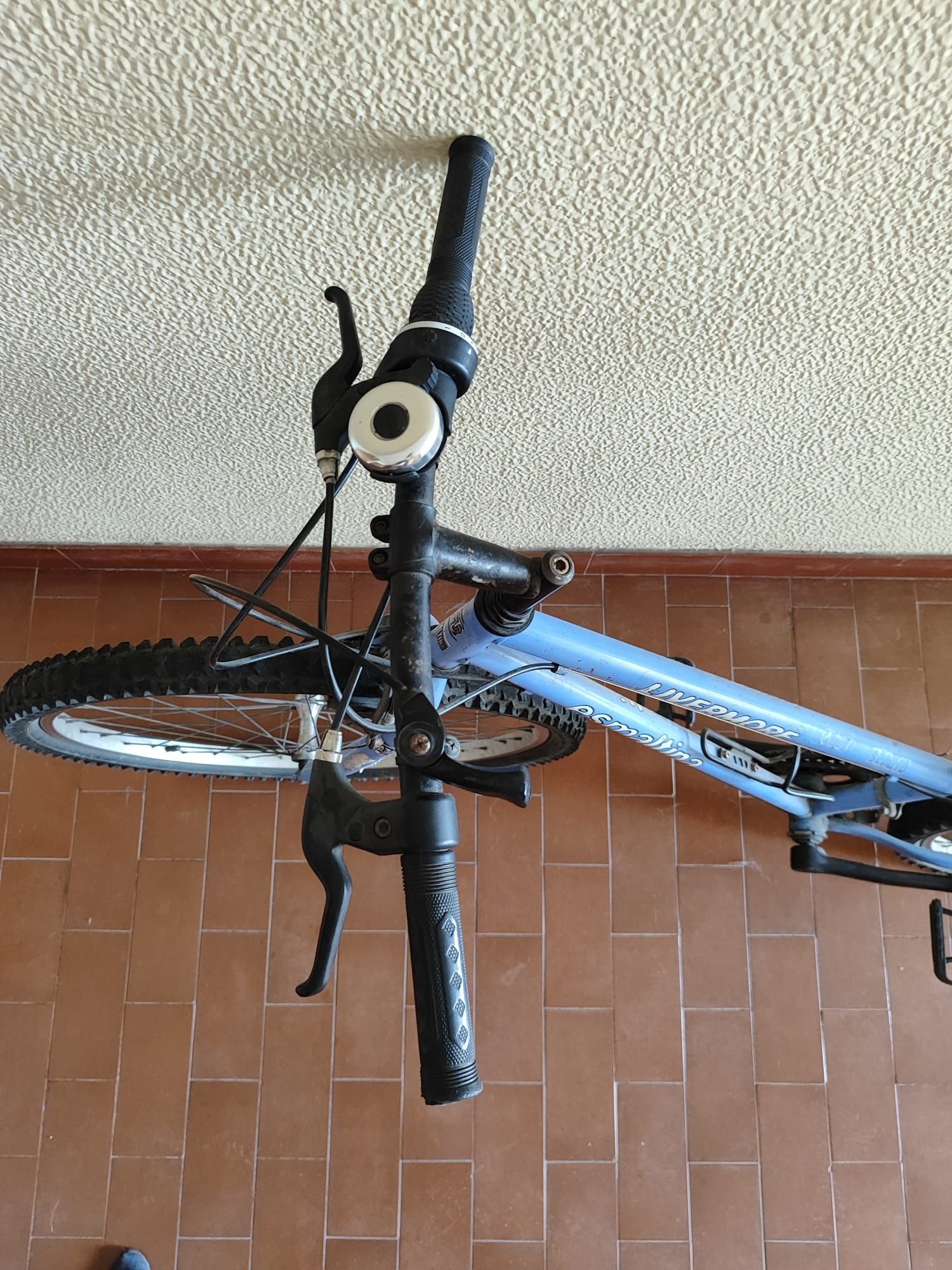 Bicicleta adulto com mudanças