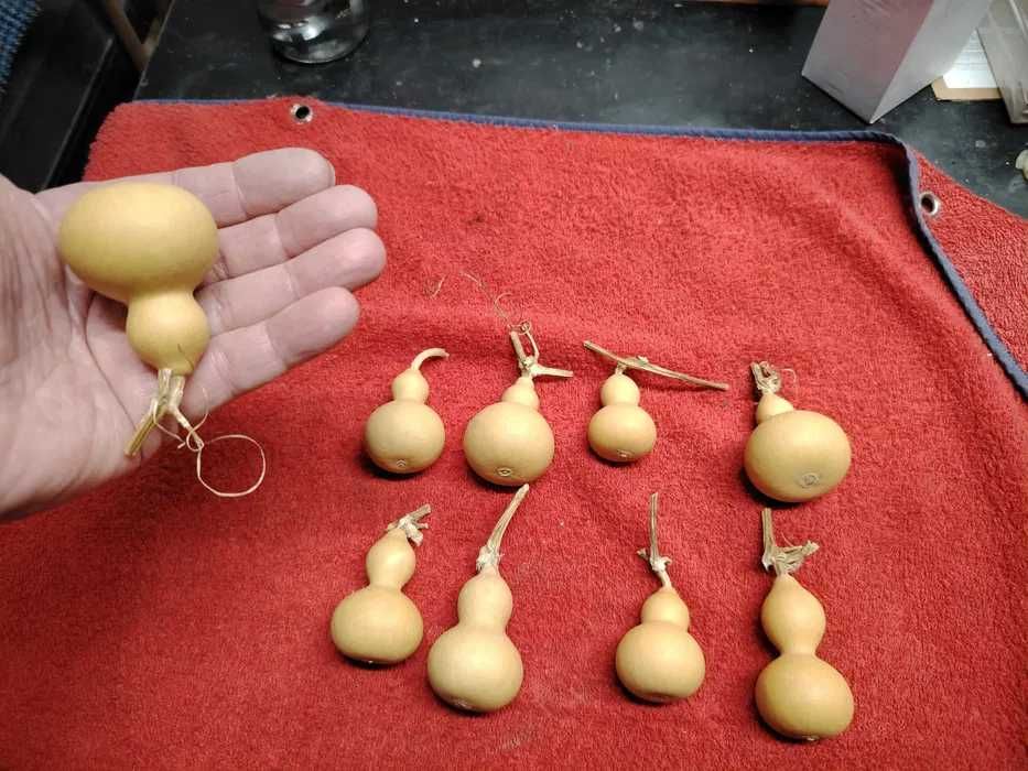 Cabaças mini, 4/6 cm naturais para decoração