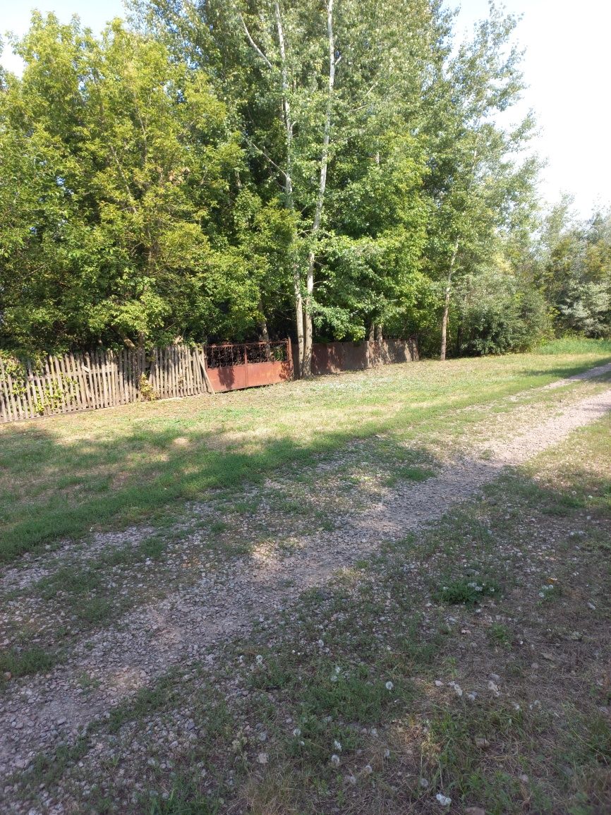 Предоставлю місце,участок для пасіки