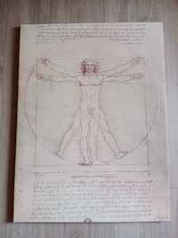 Obraz Leonardo da Vinci