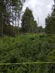 Działka 1086m2 nad jeziorem Dręstwo k. Rajgrodu