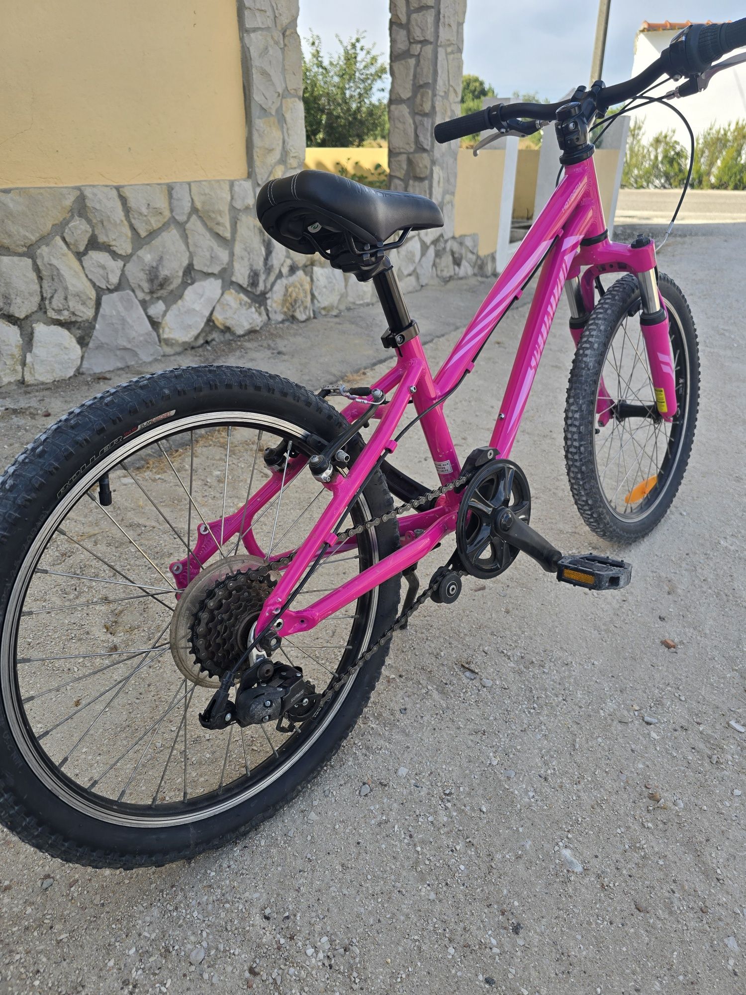 Bicicleta Specialized  roda 20